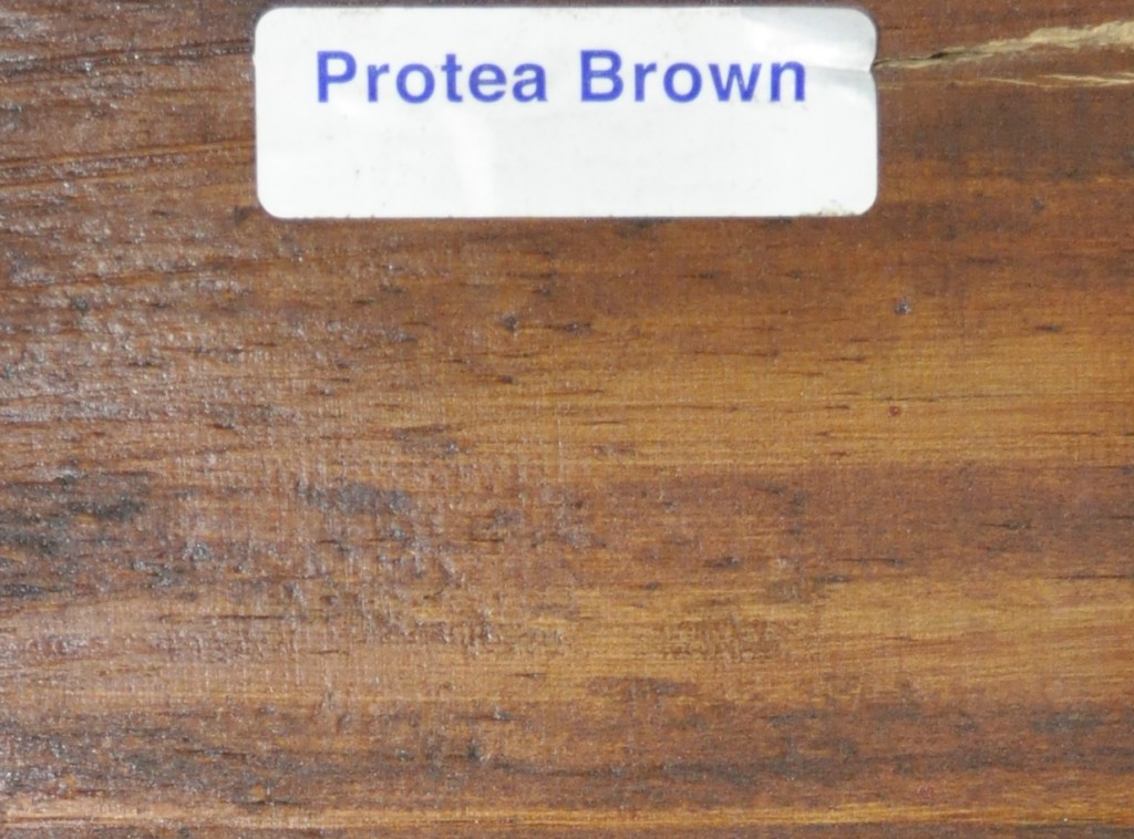 PROTEA BROWN PROTEA BROWN